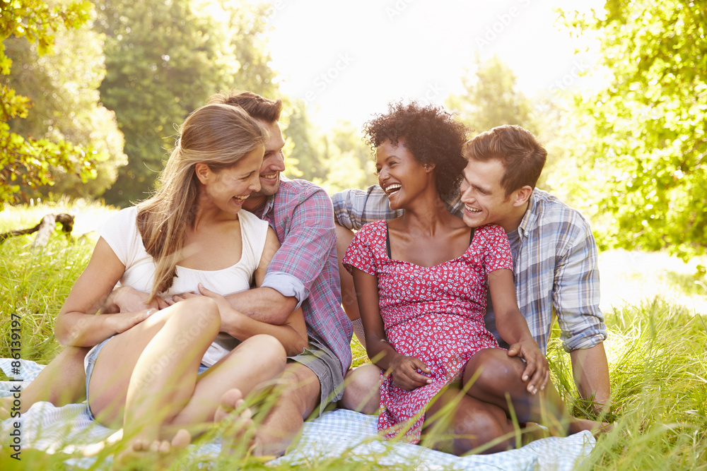 Fototapeta premium Two couples relaxing together in the countryside