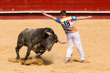 Poster Stierenvechten Recortador ontwijkt vechtstier behendig  © AmadeoAV