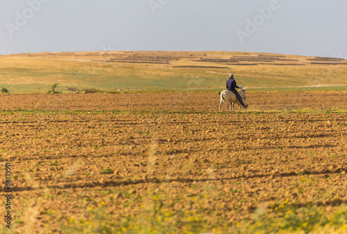 Wallpaper Mural man donkey Torontodigital.ca