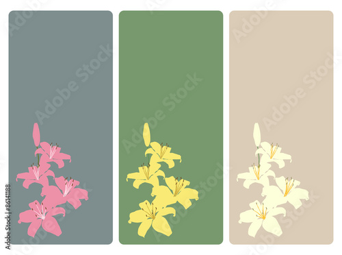Fototapeta Naklejka Na Ścianę i Meble -  set of lily flower, tag or label,  vector illustration