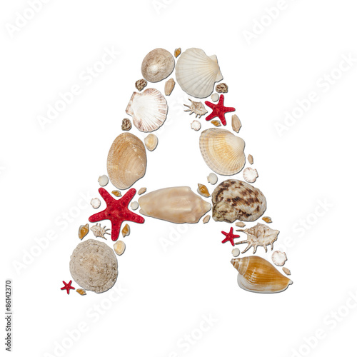 A - letter arranged from sea shells and starfishes