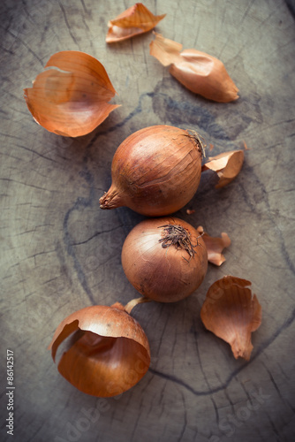 Onions on the wood. Retro color tone