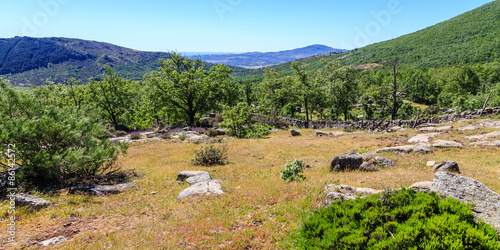 Sierra de Madrid photo