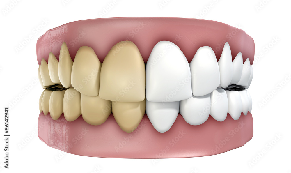 Teeth Set Isolated Teeth Set Isolated
