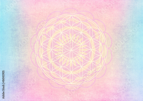 blume des lebens - pastell mandala photo