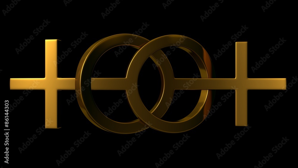 Obraz premium lesbian marriage