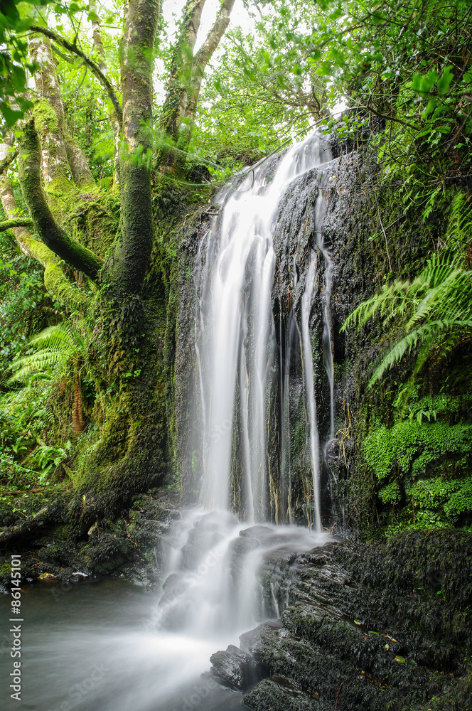 Waterfall in County Cork Ireland Waterfall in County Cork Ireland