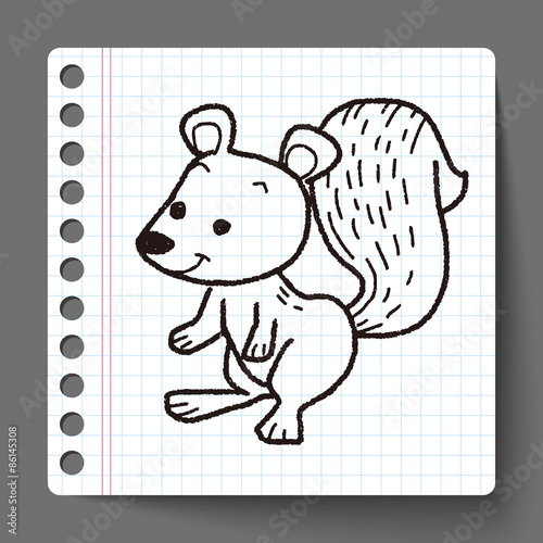 squirrel doodle
