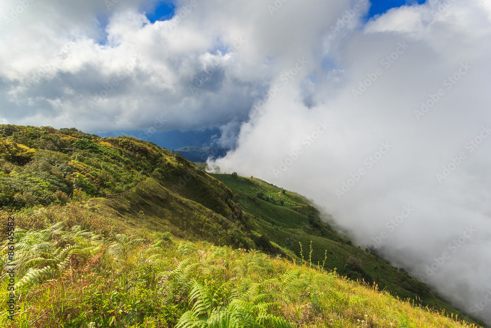 Wide meadow with mist and clouds on sunshine day at Inthanon Mountain, Chiang Mai, Thailand Wide meadow with mist and clouds on sunshine day at Inthanon Mountain, Chiang Mai, Thailand