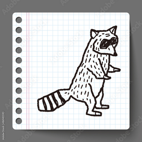 raccoon doodle