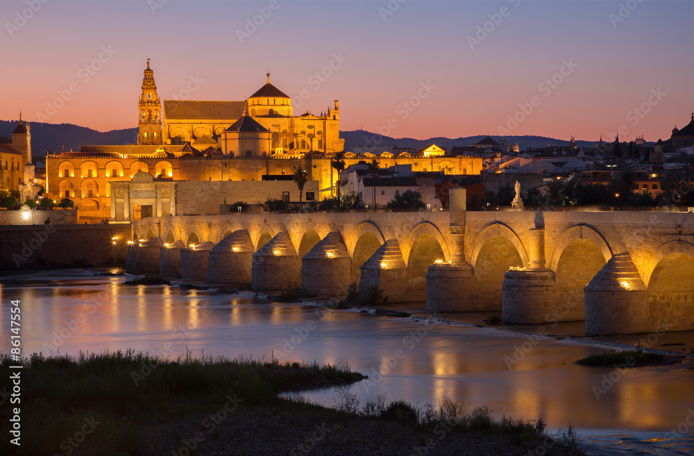 Cordoba - The Roman bridge and the Cathedral in the background