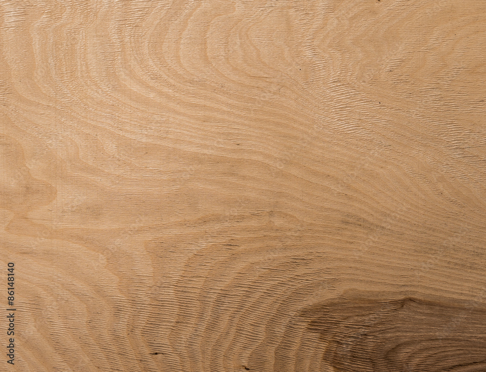 Texture of wood background closeup Texture of wood background closeup