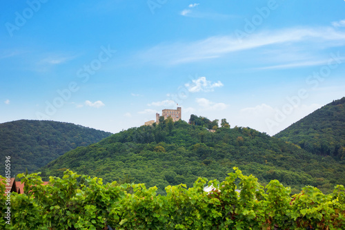 Hambach Castle photo