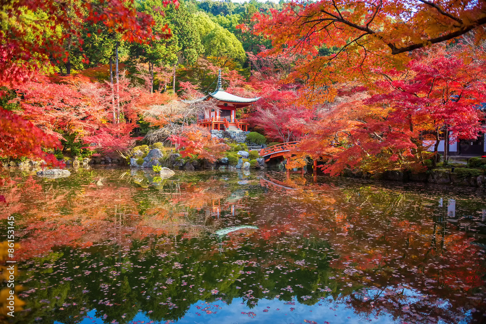 Fototapeta premium Autumn at daigoji temple