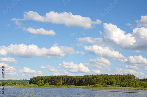 Beautiful landscape with reeds and clouds over the pool (harmony