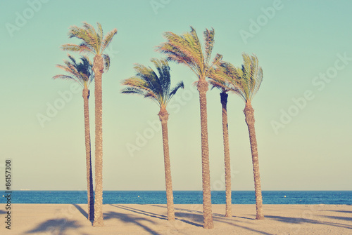 Summer beach landscape with six palms on a late afternoon, before sunset. Filtered image in faded, washed-out, retro style; summer vintage concept.
