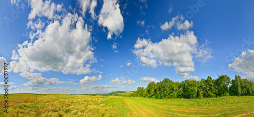 Summer field