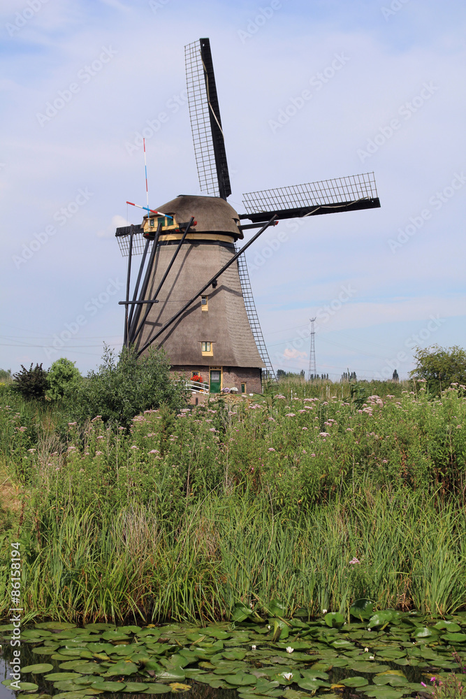 Fototapeta premium Kinderdijk, the Netherlands 