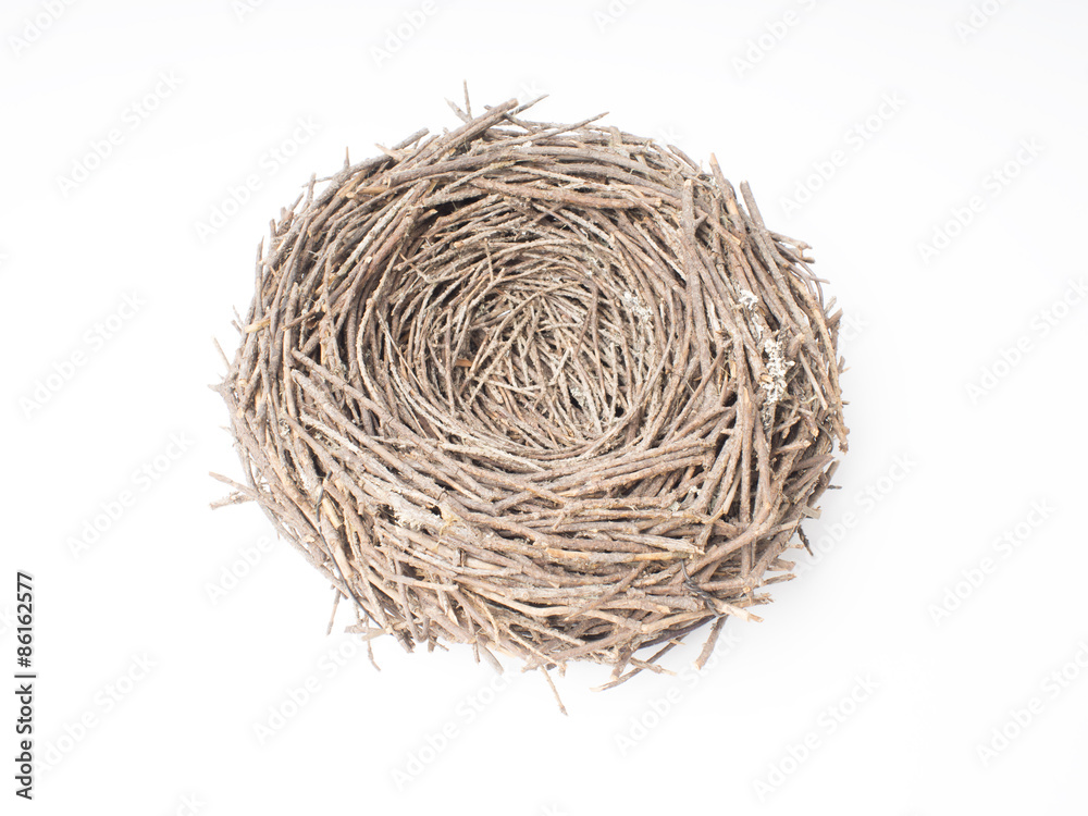 Birds nest on a white background