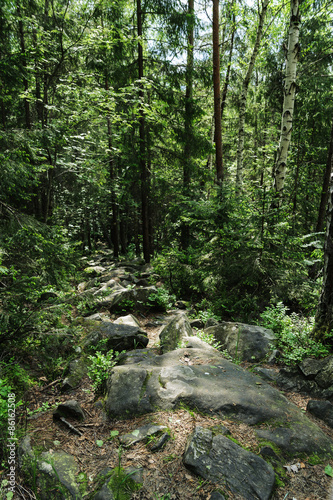 Stone path between trees