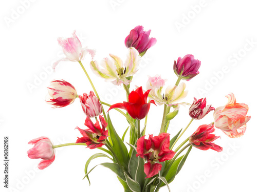 bouquet of tulips of different varieties