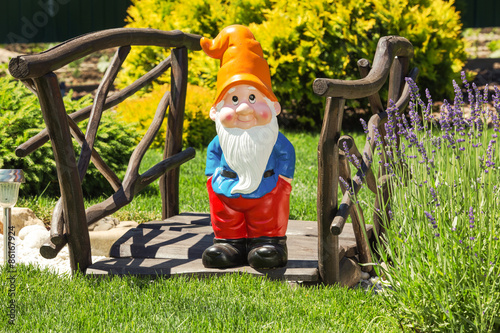Wooden decorative bridge with garden dwarf  in home garden.