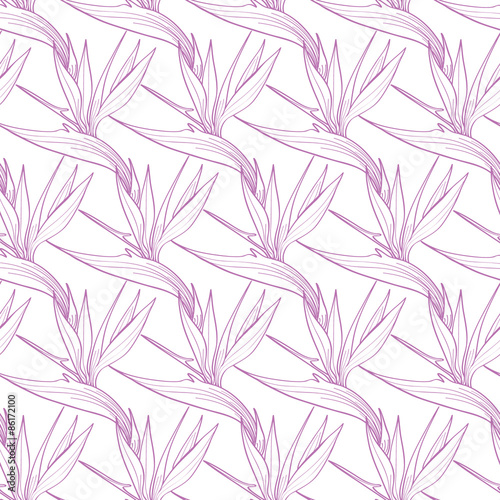 Vector Birds of Paradise Flowers Seamless Pattern
