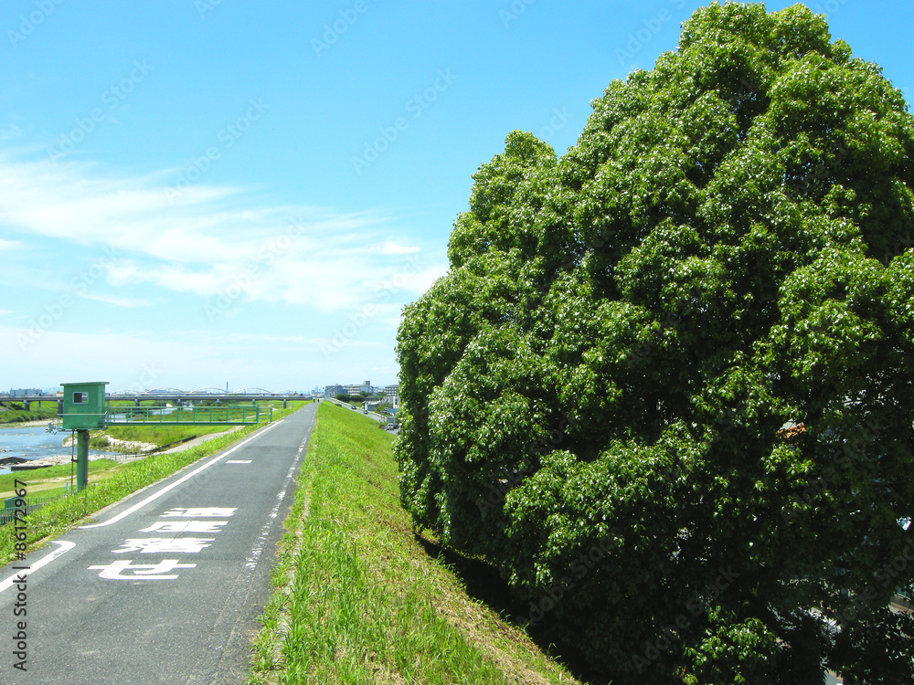 南河内サイクルロード