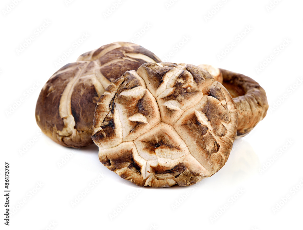 Dry Shiitake Mushroom isolated on white