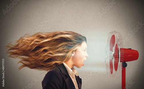 Quadro su tela Hot air