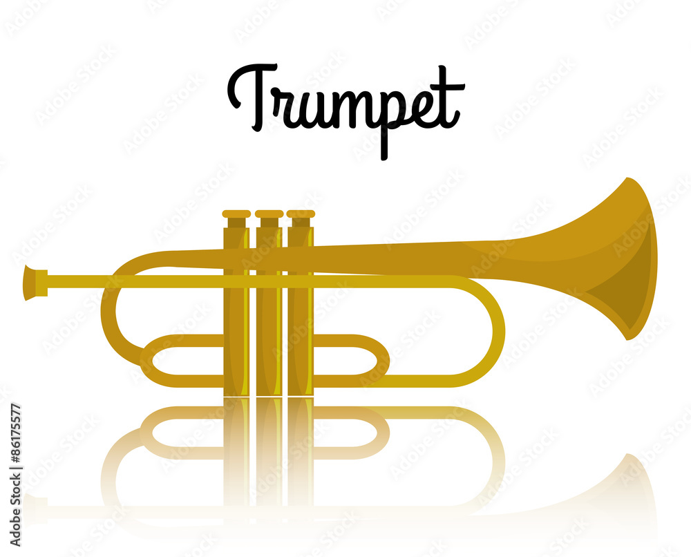 Fototapeta premium Music instruments design.