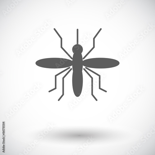 Mosquito