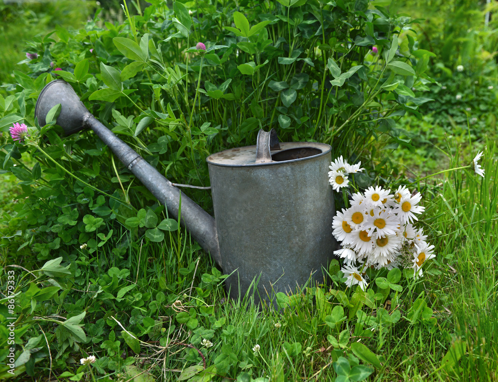 Watering can with camomiles on green grass background Watering can with camomiles on green grass background