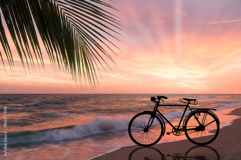 Fototapeta premium Silhouette of retro bicycle on sandy beach