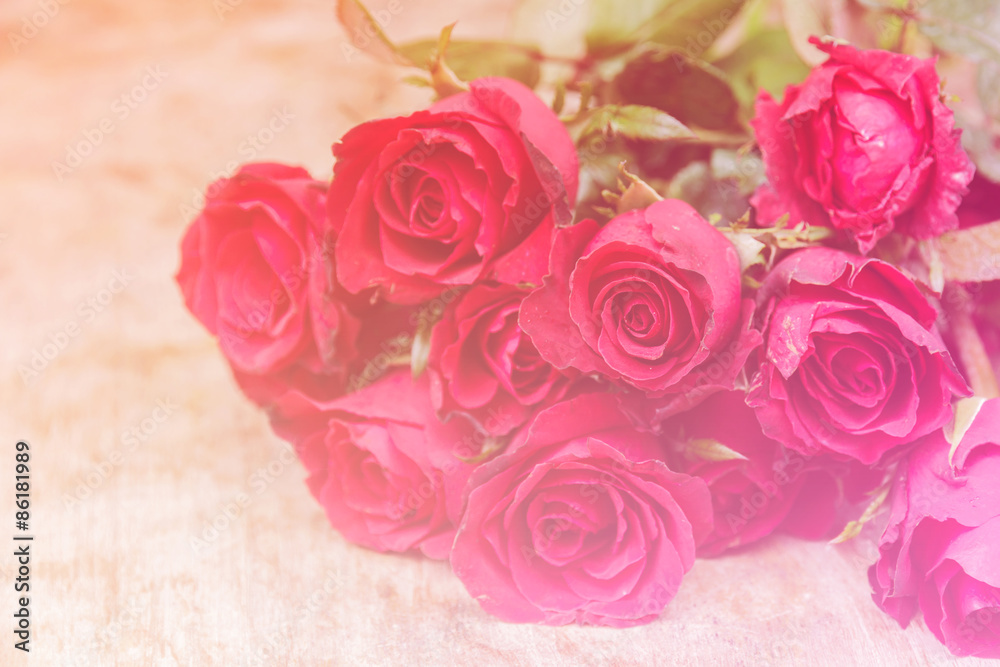 Fototapeta premium Flower concept