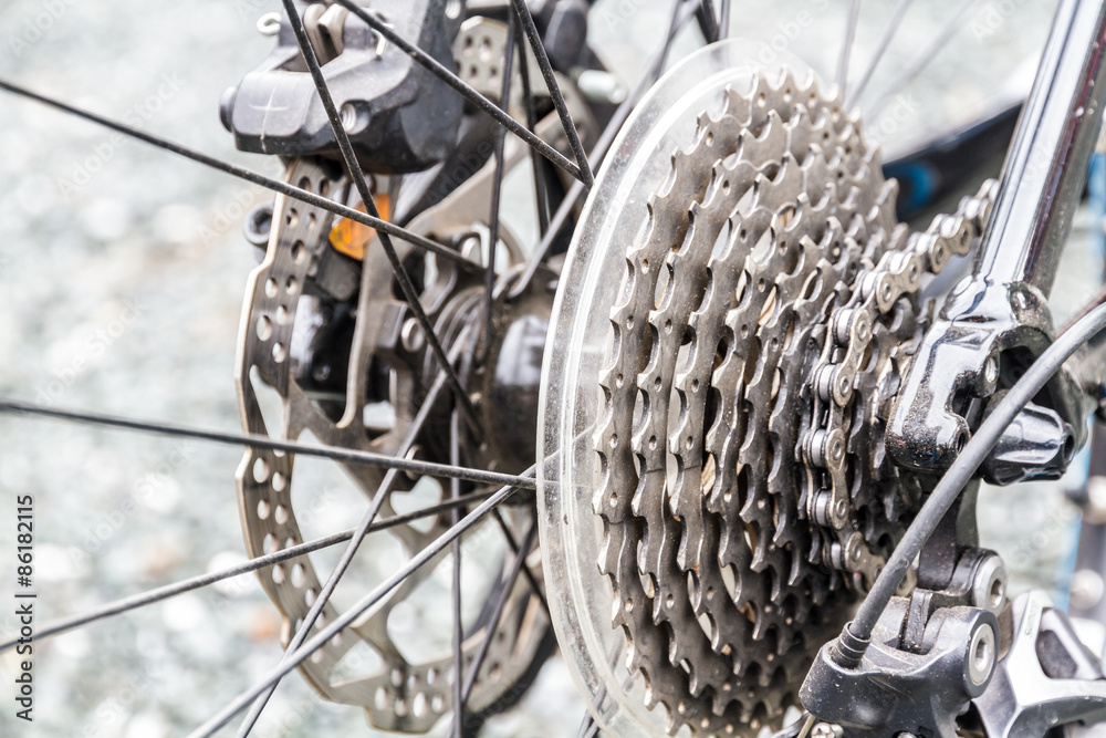 Fototapeta premium Bicycle gear