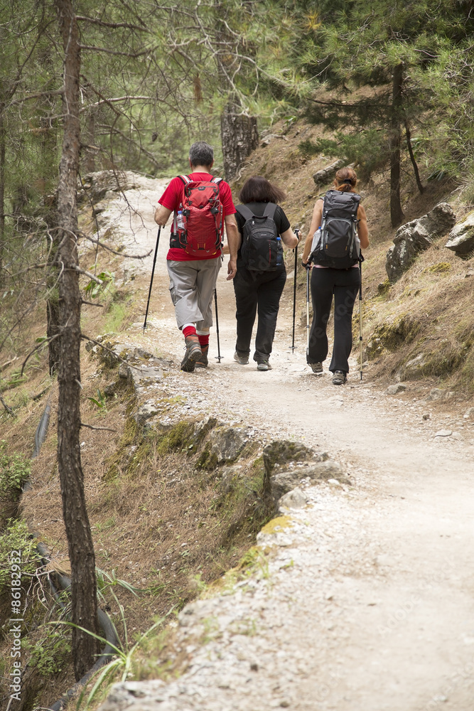 Hikers in Samaria Gorge