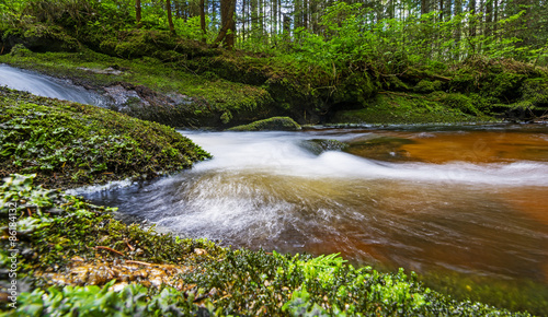 brook in forest  Jelen   potok  Sumava  Czech republic  Europe 