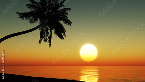 Sunset at the tropical beach with coconut palm trees silhouette