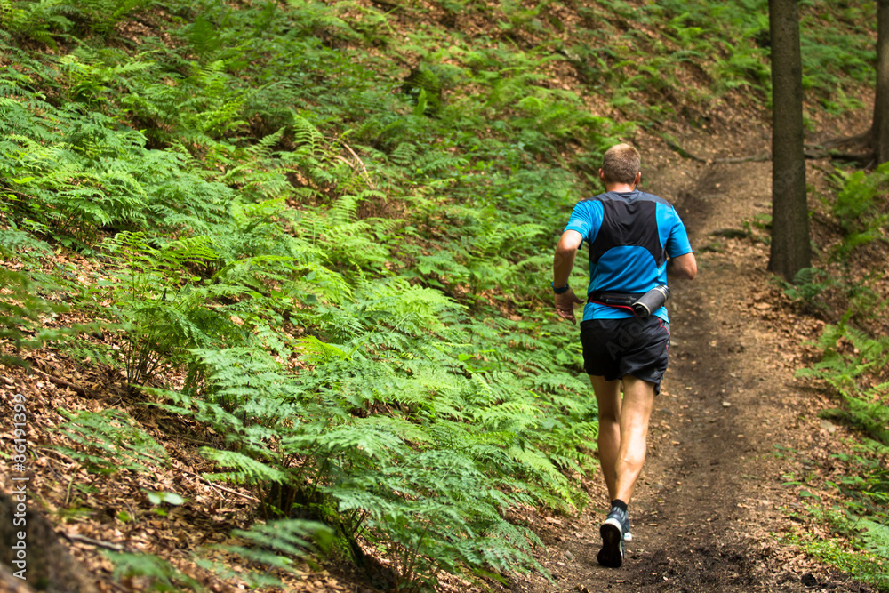 Fototapeta premium man running and training on the single trail in the forest