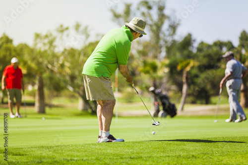 Golf player putting on the green in a golf course.