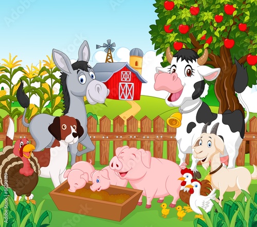 Collection animal in the farm