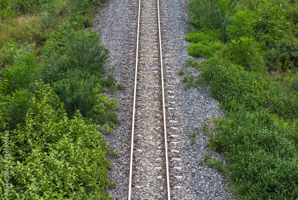 Railway with grass, weeds Railway with grass, weeds