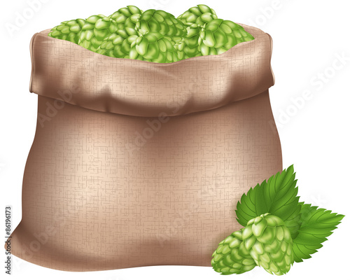 Sack of hops. EPS10 vector illustration.