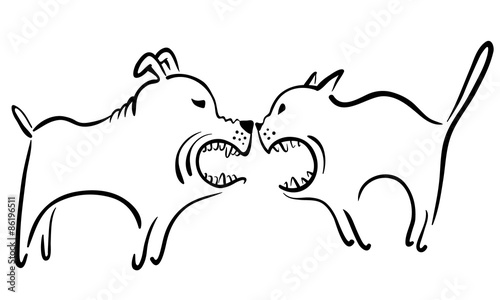 cat and dog fight