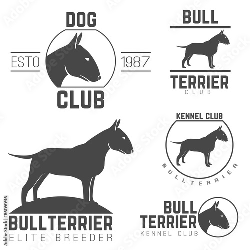 Fotomurale design logotypes, labels set of bill terrier god breed for