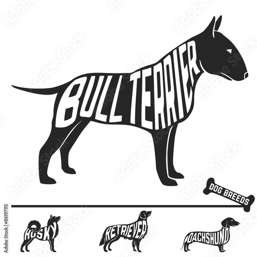 Set of dog breeds silhouettes with text inside. Bull terrier