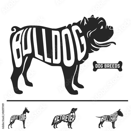 Isolated dog breed silhouettes set with names of breeds inside photo