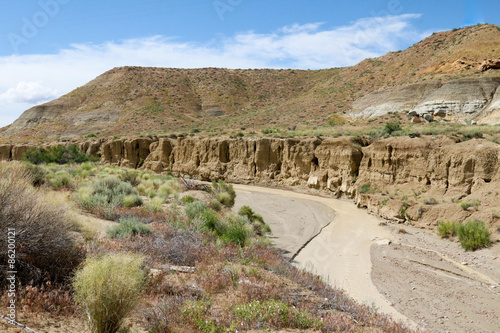 Arroyo cutting through the desert in New Mexico with water running through it