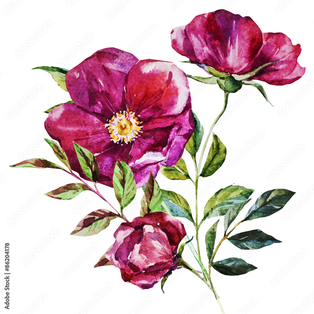 Watercolor flowers Watercolor flowers
